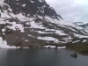 Albula